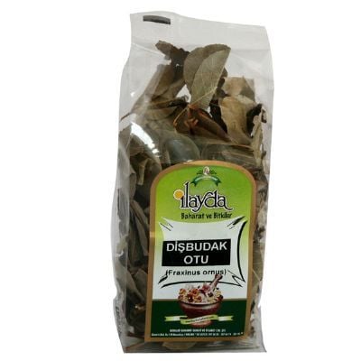 Dişbudak Otu
