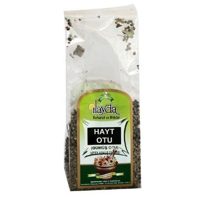 Hayıt Otu