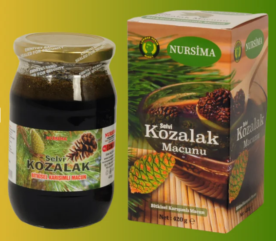 Çam Kozalak Macunu 400 gr